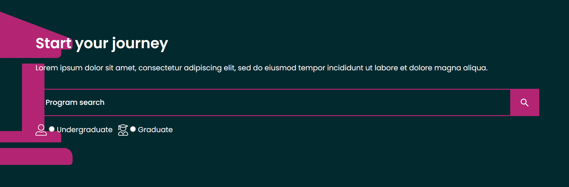 program-search-box-alt