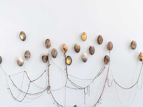 Nestlings1