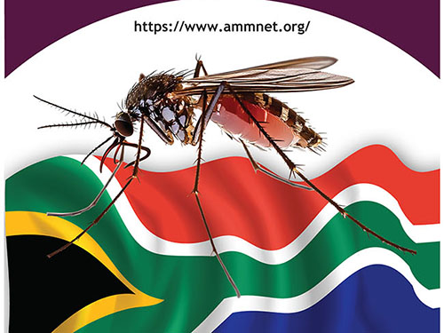 mosquito-Science